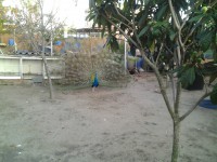 /album/del-encuentro-criadero/imagen-002-jpg1/